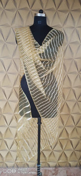 Organza Dupatta silkzon.in
